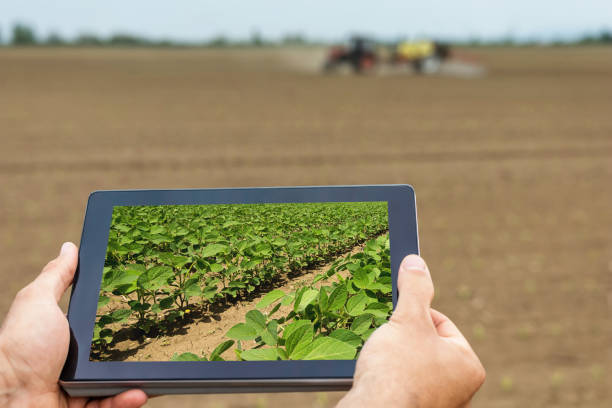 istock Smart agriculture. Farmer using tablet Soy planting. Modern Agriculture concept. 676381244