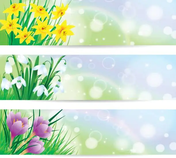 Vector illustration of Spring Flower Banner