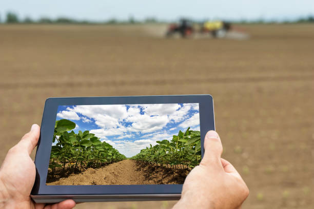 istock Smart agriculture. Farmer using tablet Soy planting. Modern Agriculture concept. 676382888