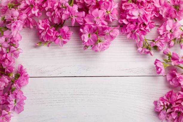 istock Pink flowers on wooden background 676391370