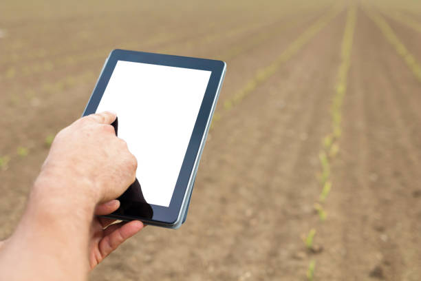 istock Farmer using tablet computer in agricultural cultivated field. White screen. 676394978