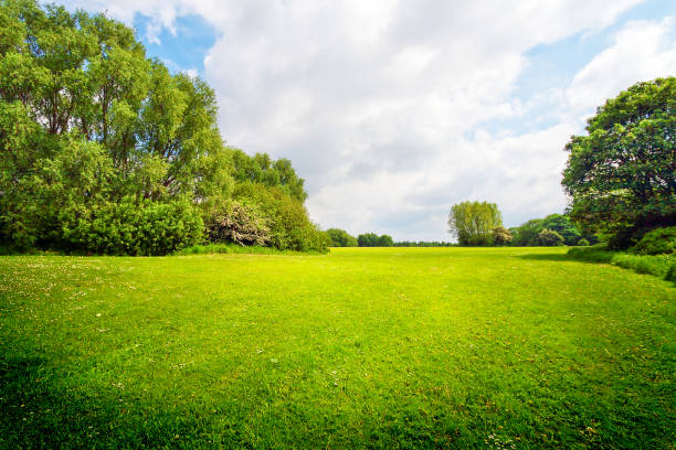 istock Green outdoor for relaxation 676422238