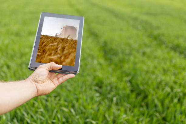 istock Using tablet on wheat field. Modern Agriculture. Wheat futures concept. 676469806