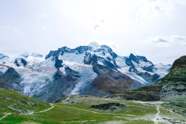 breithorn liskamm w: zermatt switzerland in summer season - liskamm zdjęcia i obrazy z banku zdjęć