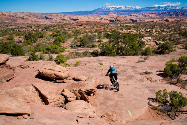 A man rides his mountain bike down a cross-country trail on a sunny day in Moab, Utah, USA. He is following the green lines painted on the rock that mark the trail. In the background are the snow-covered La Sal Mountains. la sal mountains stock pictures, royalty-free photos & images