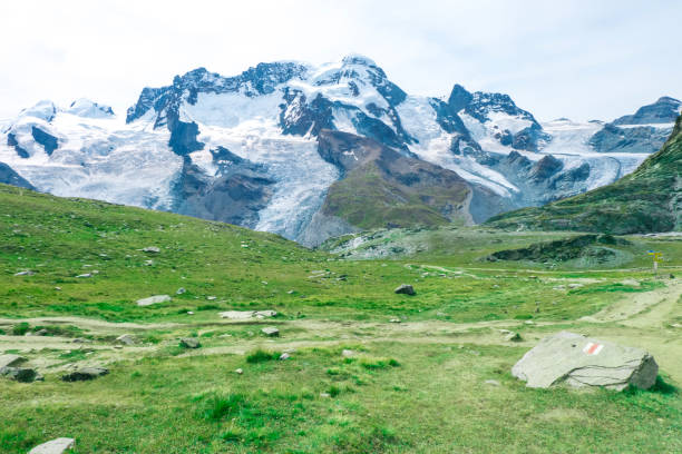 breithorn liskamm w: zermatt switzerland in summer season - liskamm zdjęcia i obrazy z banku zdjęć