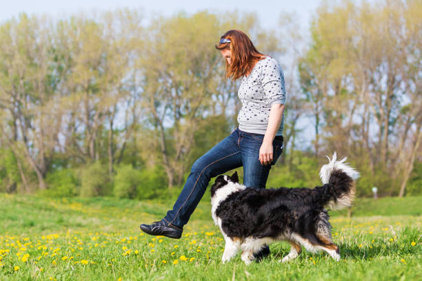istock woman making dog dancing with her dog 676499988