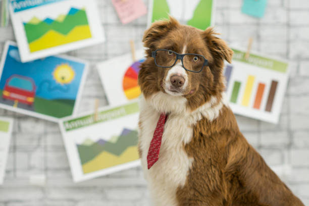 business-hund - hund grafiken stock-fotos und bilder