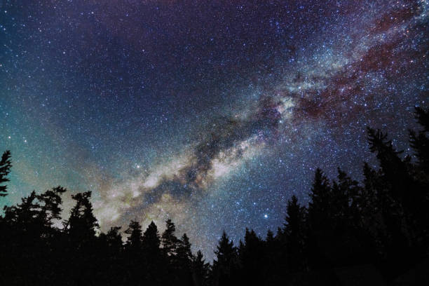 istock Milky Way Galaxy, Starry sky with trees. Starry night. 676515784