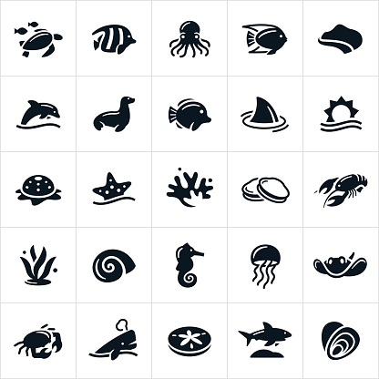 An icon set of different forms of sea life. The icons include a sea turtle, tropical fish, octopus, ocean, reef, coastline, dolphin, seal, shark, star fish, coral, clams, lobster, sea weed, snail, sea horse, jelly fish, sting ray, crab, whale, sand dollar and oysters to name a few.