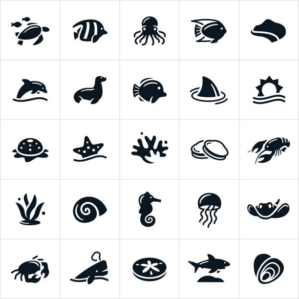 Sea Life Icons An icon set of different forms of sea life. The icons include a sea turtle, tropical fish, octopus, ocean, reef, coastline, dolphin, seal, shark, star fish, coral, clams, lobster, sea weed, snail, sea horse, jelly fish, sting ray, crab, whale, sand dollar and oysters to name a few. sea life stock illustrations