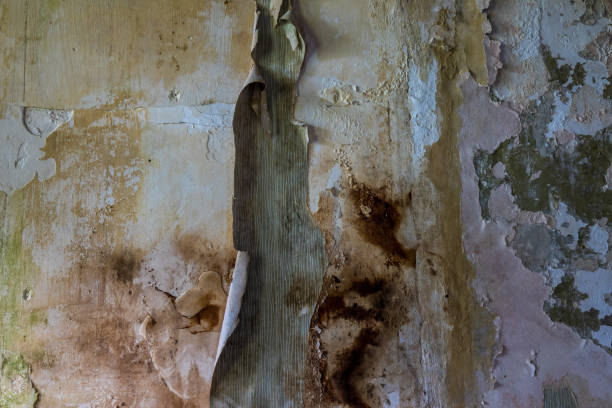 il vecchio e incrinato muro di un edificio, luoghi perduti - peeling paint abandoned old foto e immagini stock