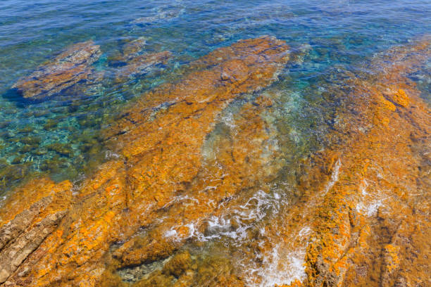 istock Colorful natural texture with blue sea and yellow rocks 676595022