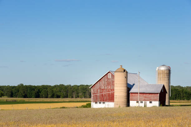 istock Family Farm Scene with Copy Space 676632610