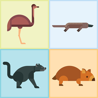 Australia wild animals cartoon popular nature characters flat style and australian mammal aussie native forest collection vector illustration. Natural little young portrait.