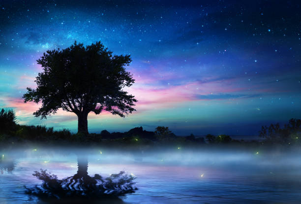 starry night with lonely tree - magical place imagens e fotografias de stock