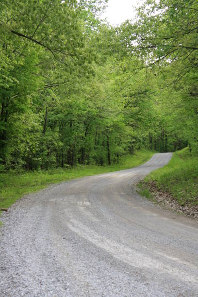 istock Gravel Road Winding Through the Trees 676668384
