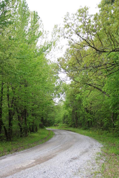 istock Gravel Road Winding Through the Trees 676668390