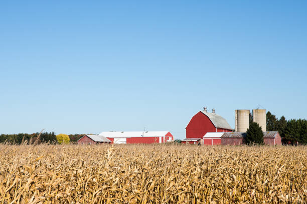 istock Family Farm Scene in the Fall 676680402