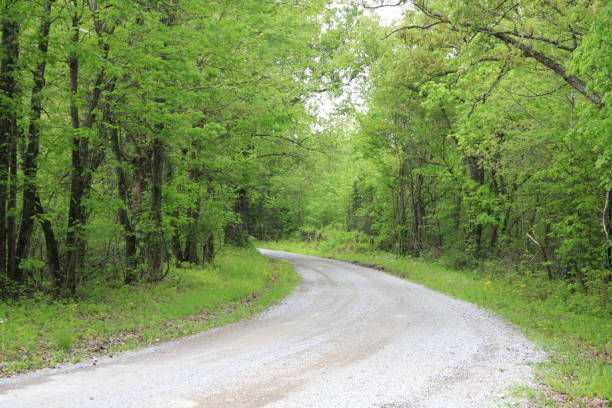 Gravel Road Winding Through the Trees