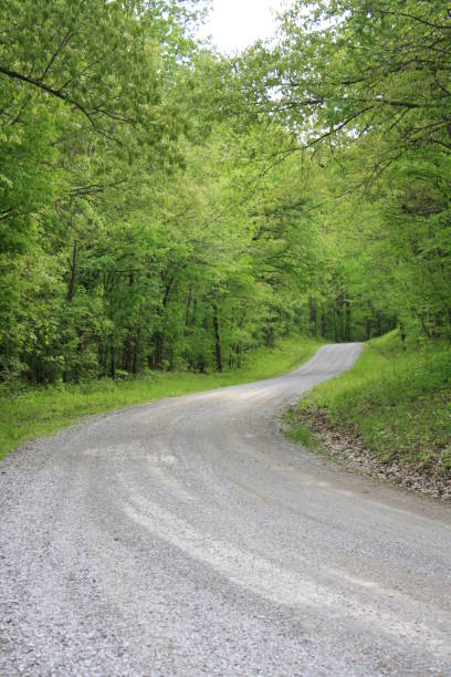 istock Gravel Road Winding Through the Trees 676685418