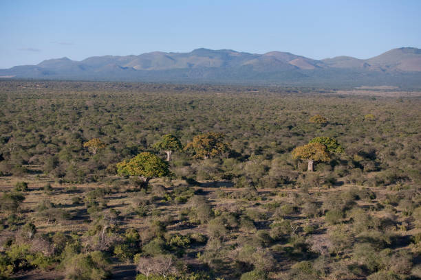 istock Kenya from the air 676759824