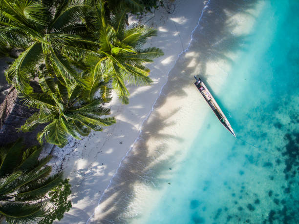 istock Aerial of beach and canoe 676804572