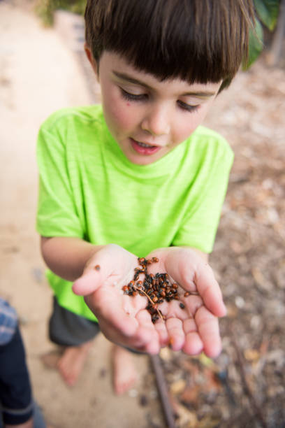 istock child protecting and caring for lady bugs 676825264