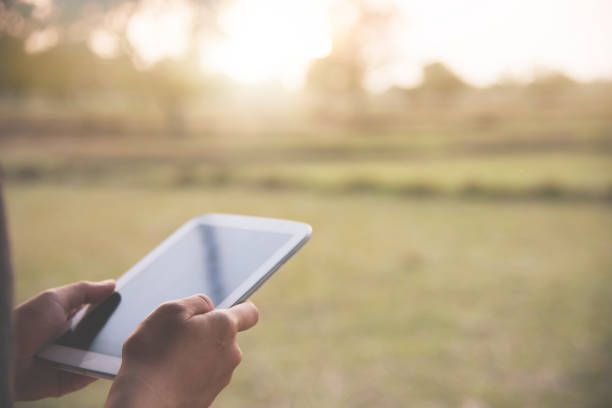 istock Woman hands holding tablet or smartphone on countryside background. 677032040