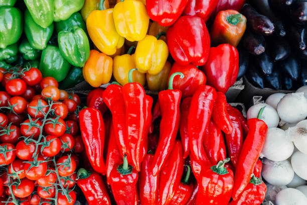 istock Tomatoes, peppers, onions and zucchini 677058534
