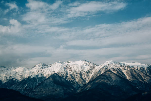 istock Romanian mountains range with pine forest and fog, winter time with snow. 677058556