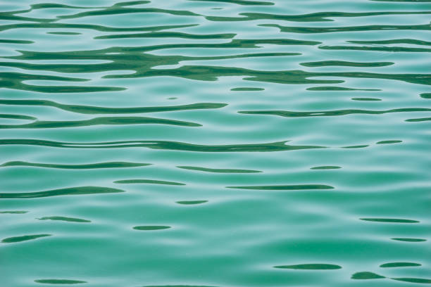 istock Ripple on green color lake water 677078976