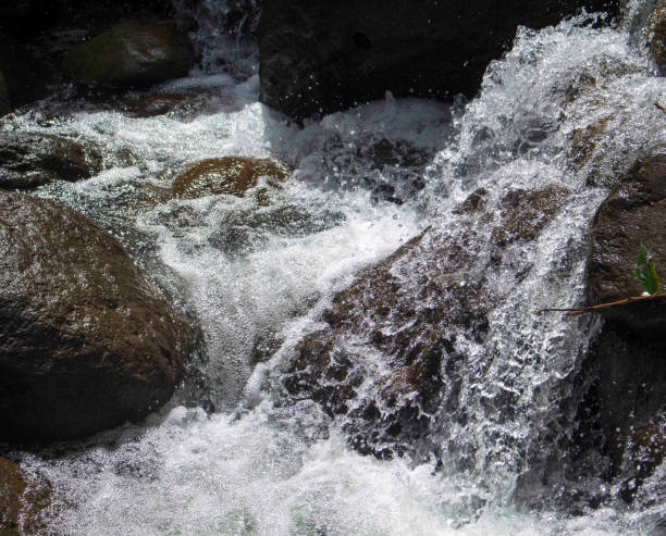 istock Mountain river among black rocks. Fresh water fast stream in stones. 677128522