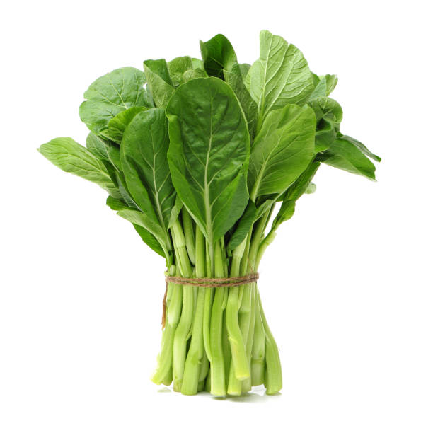 Chinese Mustard  isolated  on a white background