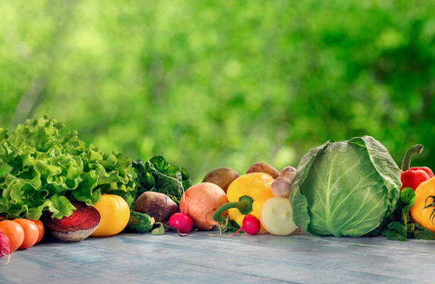 istock Set of different vegetables on a wooden blue table 677192376