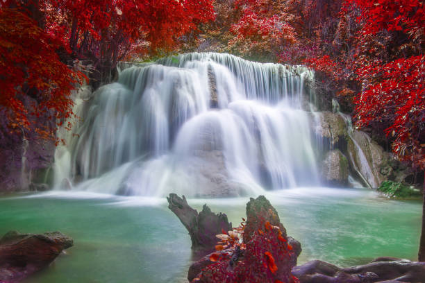 istock Fantasy waterfall and green forest Resting Place and relax time 677203976