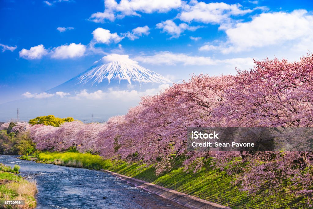 Berg Fuji im Frühjahr - Lizenzfrei Japan Stock-Foto