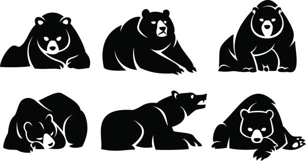 Set lying bears vector art illustration