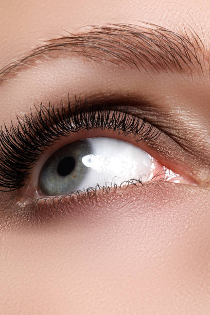 istock Macro shot of woman's beautiful eye with long eyelashes 677264310