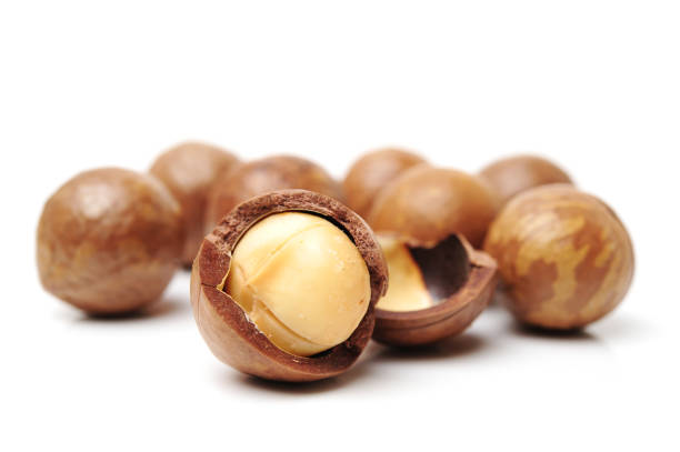 白い背景の上の分離されたマカダミア ナッツ。 - hazelnut nut seed pod ストックフォトと画像