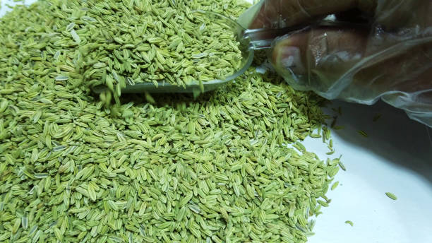 istock anise spice fruits and seeds 677301292