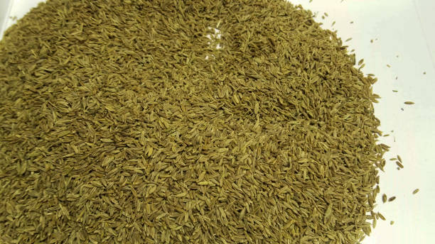 Cumin seeds. Close up shot caraway seeds stock photo