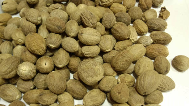 Nutmeg stock photo
