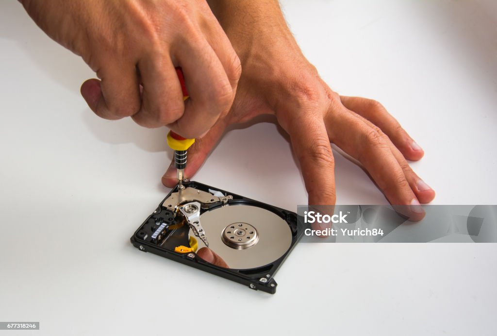 Disassemble damaged hard disc drive using screwdriver Adult Stock Photo