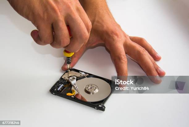 Disassemble Damaged Hard Disc Drive Using Screwdriver Stock Photo - Download Image Now