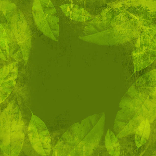 istock spring bright green grunge leaves background.copy space. 677358786