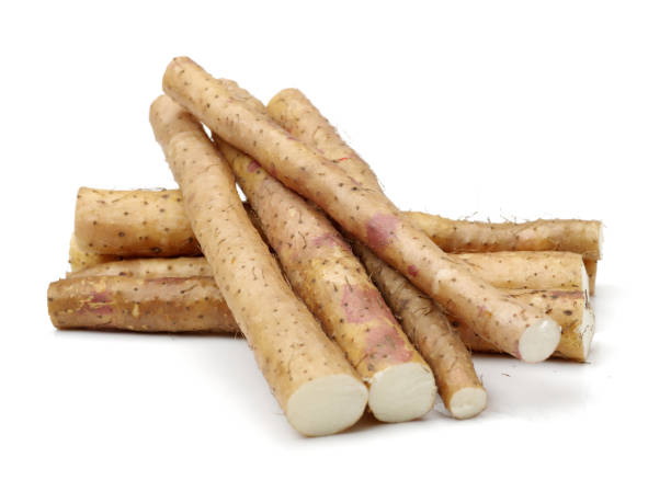 istock Chinese yam  isolated   on white background 677359008