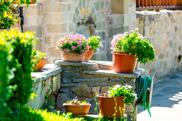 photo of cozy part of street full of flowers in pots and plants on the wonderful building background stock photo