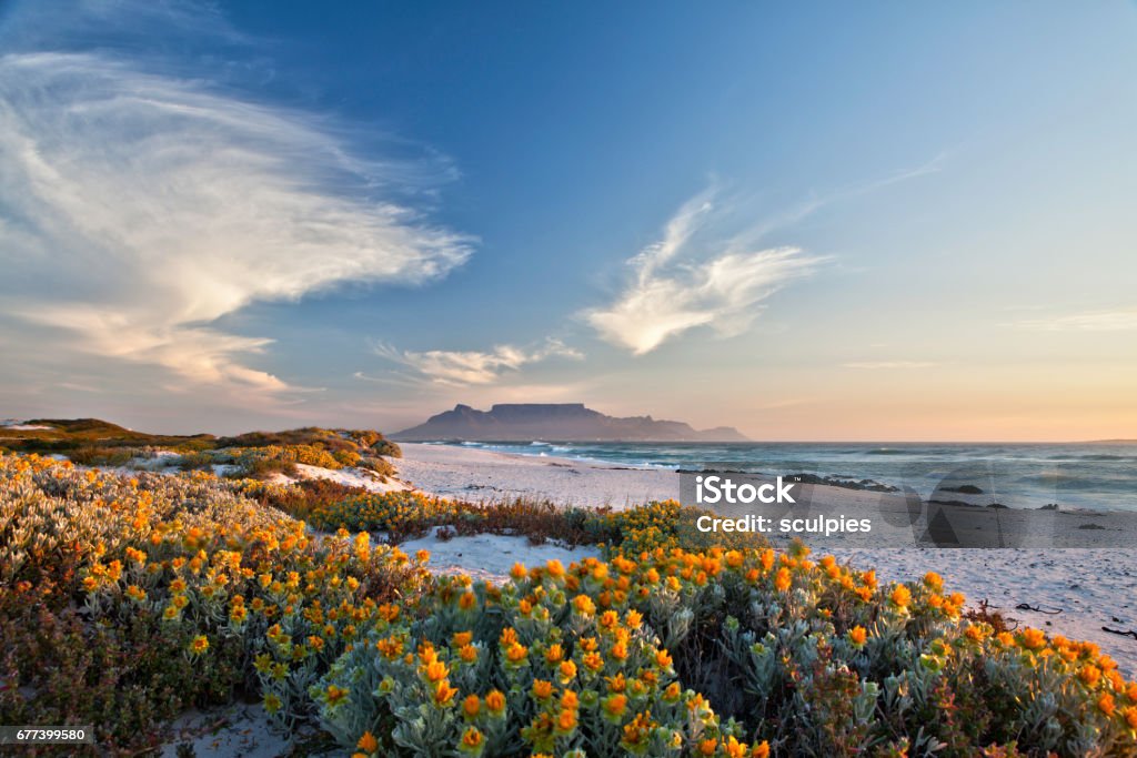 vista panorâmica da mesa montanha cidade do cabo África do Sul bloubergstrand - Foto de stock de República da África do Sul royalty-free
