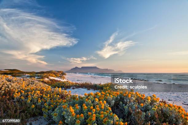 Foto de Vista Panorâmica Da Mesa Montanha Cidade Do Cabo África Do Sul Bloubergstrand e mais fotos de stock de República da África do Sul